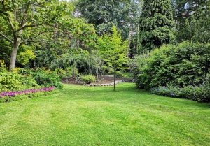 Optimiser l'expérience du jardin à Villers-Franqueux